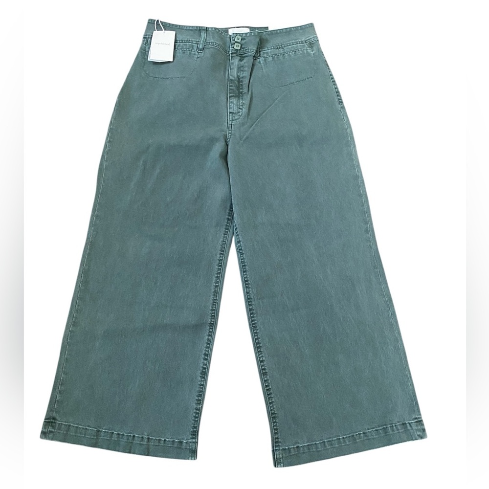 New unpublished by anthropologie Gemma the light green pants women’s size 30